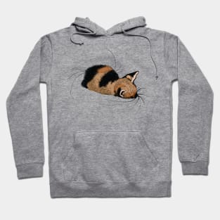 Snuggly kitten Hoodie